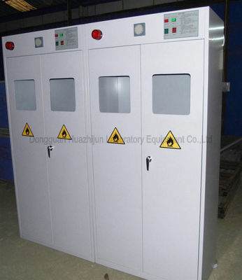 良い値段 Lab Gas Cabinet Company|実験室のガスのキャビネットの製造者|実験室のガスのキャビネットの価格 オンライン