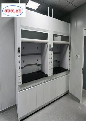 良い値段 カスタマイズされた煙突 活性炭フィルターで実験室効率的な換気中の煙突 オンライン