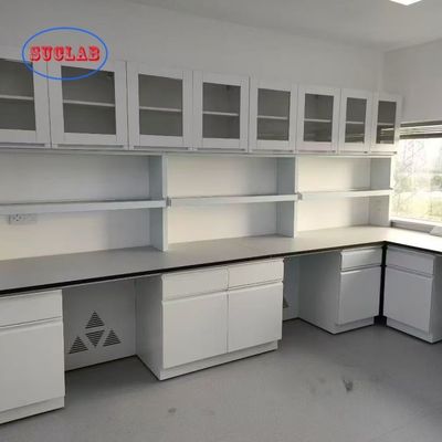 良い値段 Customizable Made Chem Laboratory Fumiture Lab Personalized for Your Lab Performance オンライン